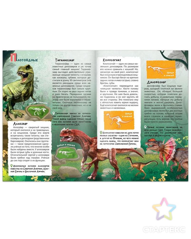 Обучающий набор «В мире динозавров», книга и пазл арт. СМЛ-209112-1-СМЛ0005453916 4