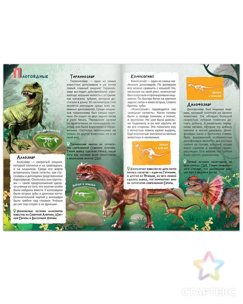 Книга с наклейками "В мире динозавров", 16 стр. арт. СМЛ-153684-1-СМЛ0005465071 3