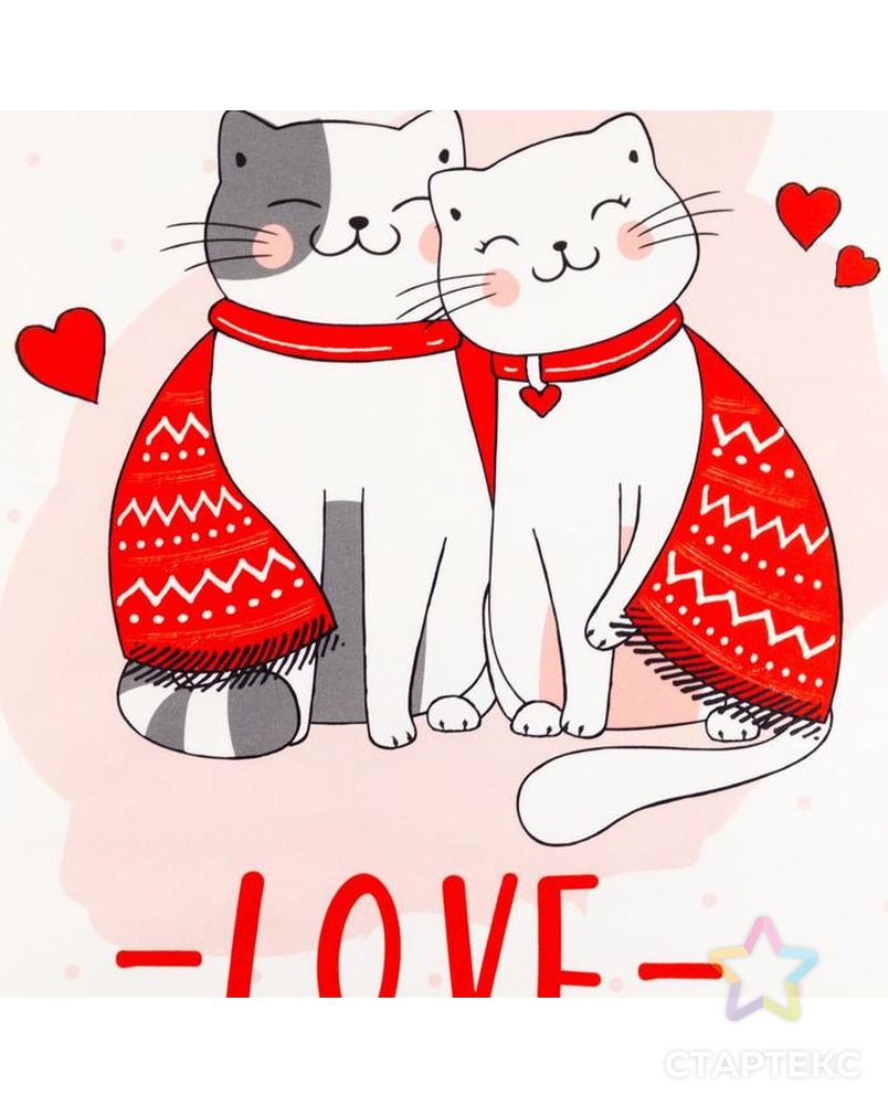 Полотенце Этель "Cat's love" 40х73 см, 100% хл, саржа 190 гр/м2 арт. СМЛ-140991-1-СМЛ0005482305 3