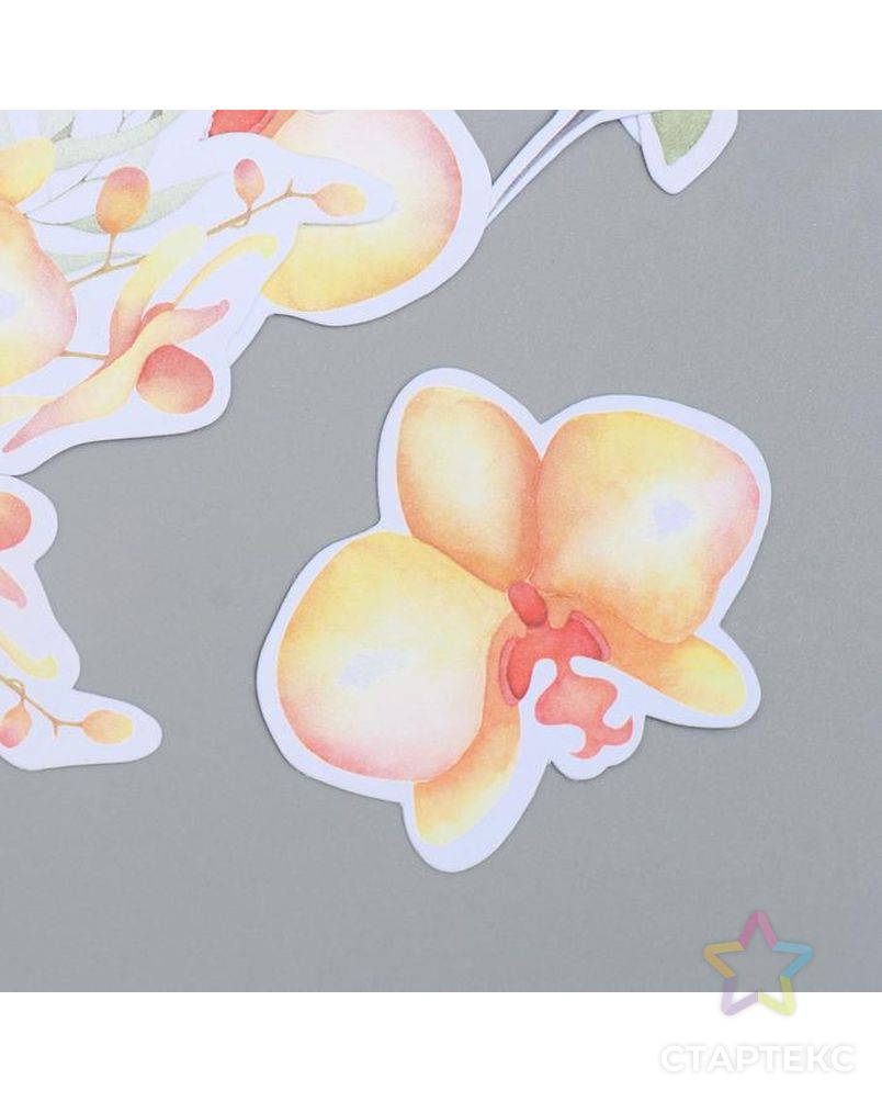 Набор высечек "Sunny Orchid" 49 шт арт. СМЛ-134983-1-СМЛ0005490371