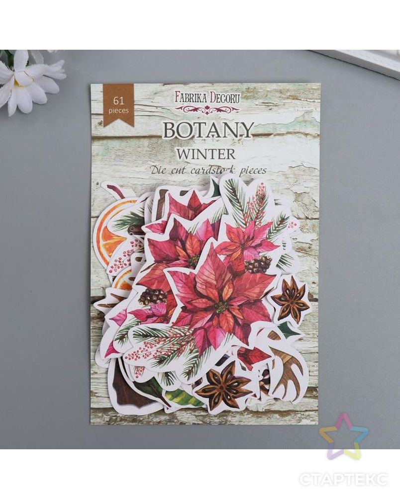 Набор высечек "Botany winter" 61 шт арт. СМЛ-194158-1-СМЛ0005490409 3