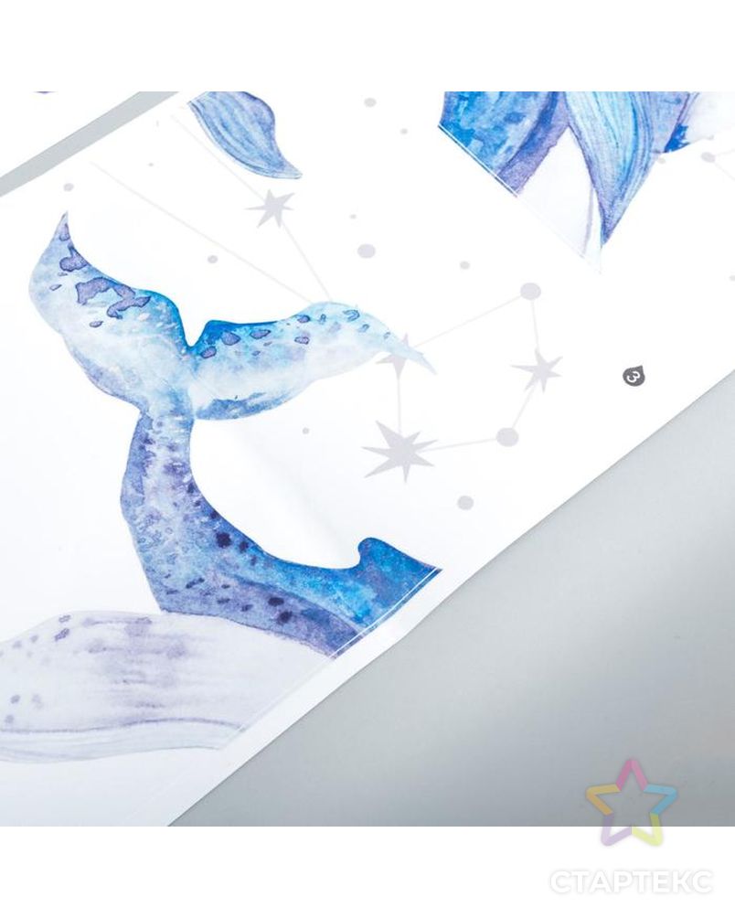 Наклейка пластик интерьерная цветная "Киты, кашалоты и созвездия" 30х90 см набор 2 листа арт. СМЛ-209053-1-СМЛ0005494922 3