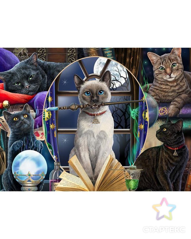 3D Пазл коллаж 500 элементов «Магия кошек», 6+ арт. СМЛ-129025-1-СМЛ0005539457 2