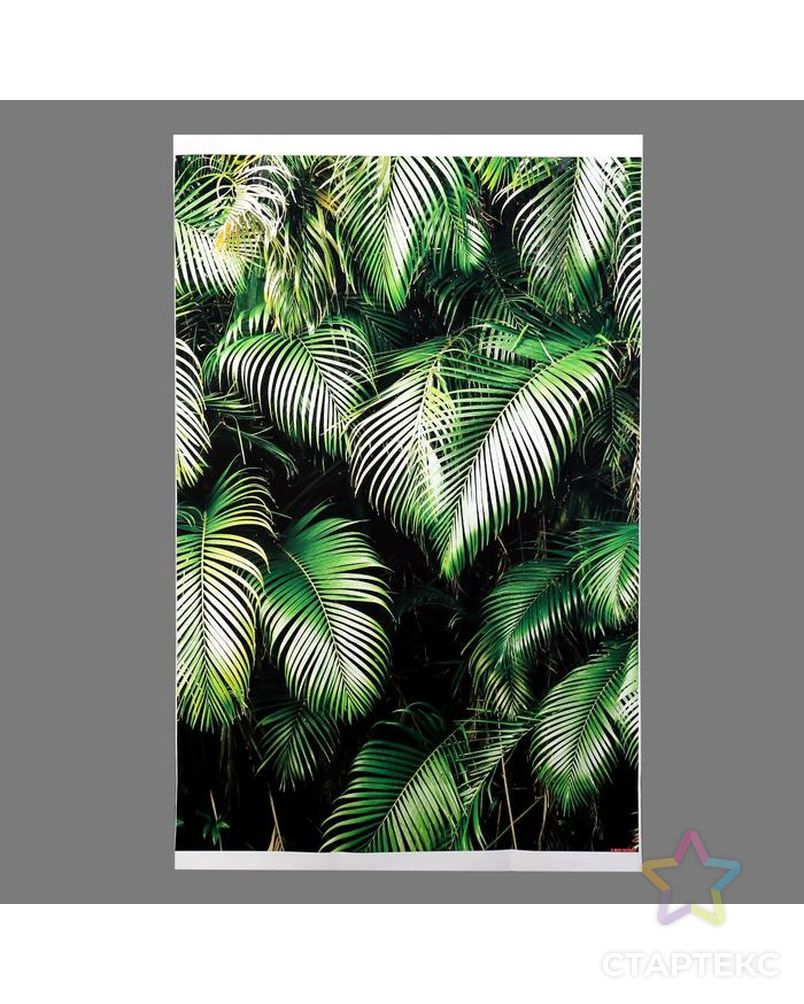 Фотофон винил "Пальмовые листья в тени" 80х120 см арт. СМЛ-149624-1-СМЛ0005700618