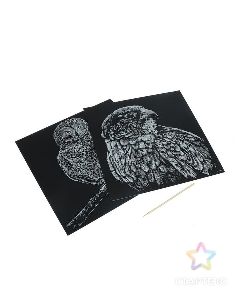 Набор гравюр «Птицы», с металлическим эффектом «золото», 2 шт, 19х19 см арт. СМЛ-159735-1-СМЛ0005751155 2
