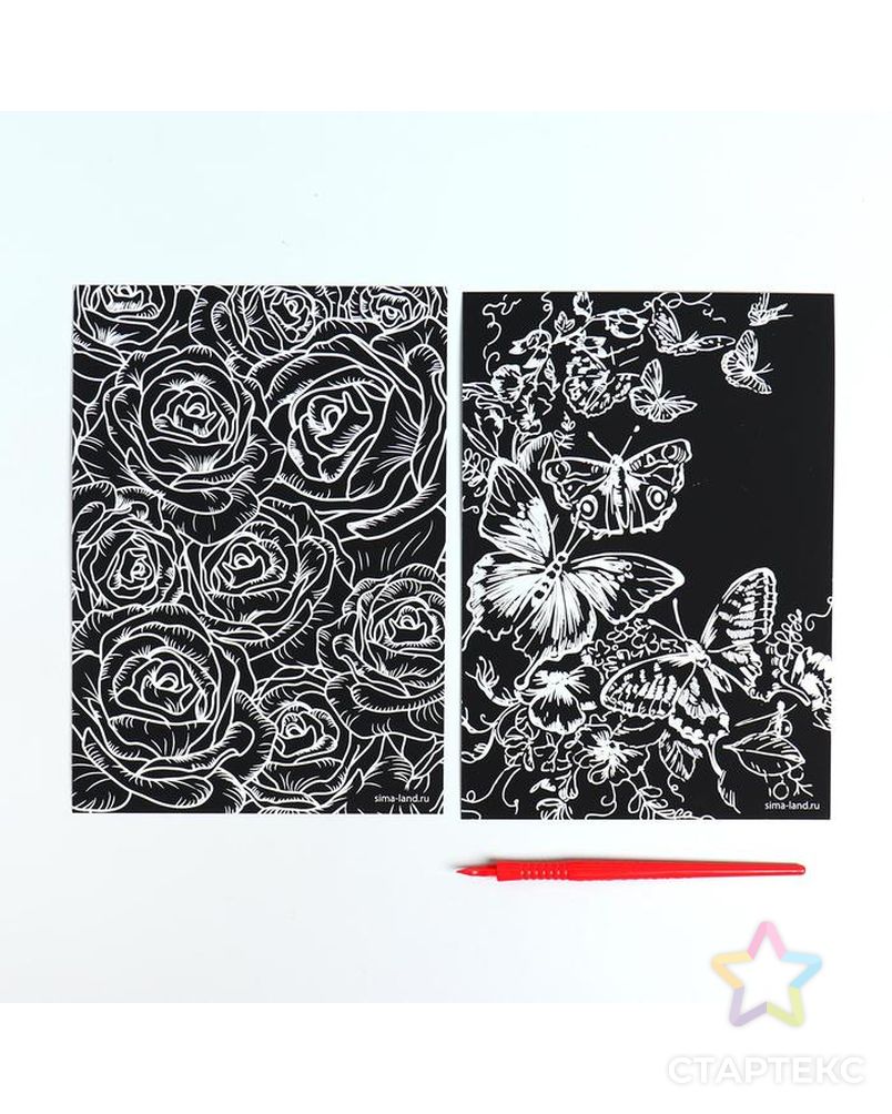Набор гравюр А5 "Бабочки и цветы" с серебряной основой, 2 шт арт. СМЛ-170700-1-СМЛ0005798297 2