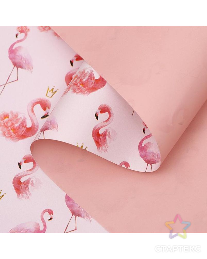 Бумага упаковочная глянцевая "Фламинго", 50 × 70 см  2 листа арт. СМЛ-142699-1-СМЛ0006301299 4