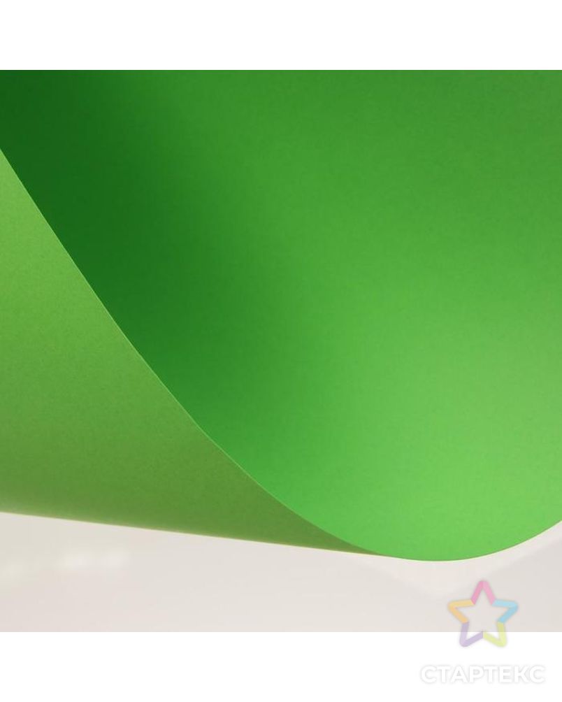 Картон цветной тонированный А2, 200 г/м2, зелёный арт. СМЛ-179373-1-СМЛ0006580648 2