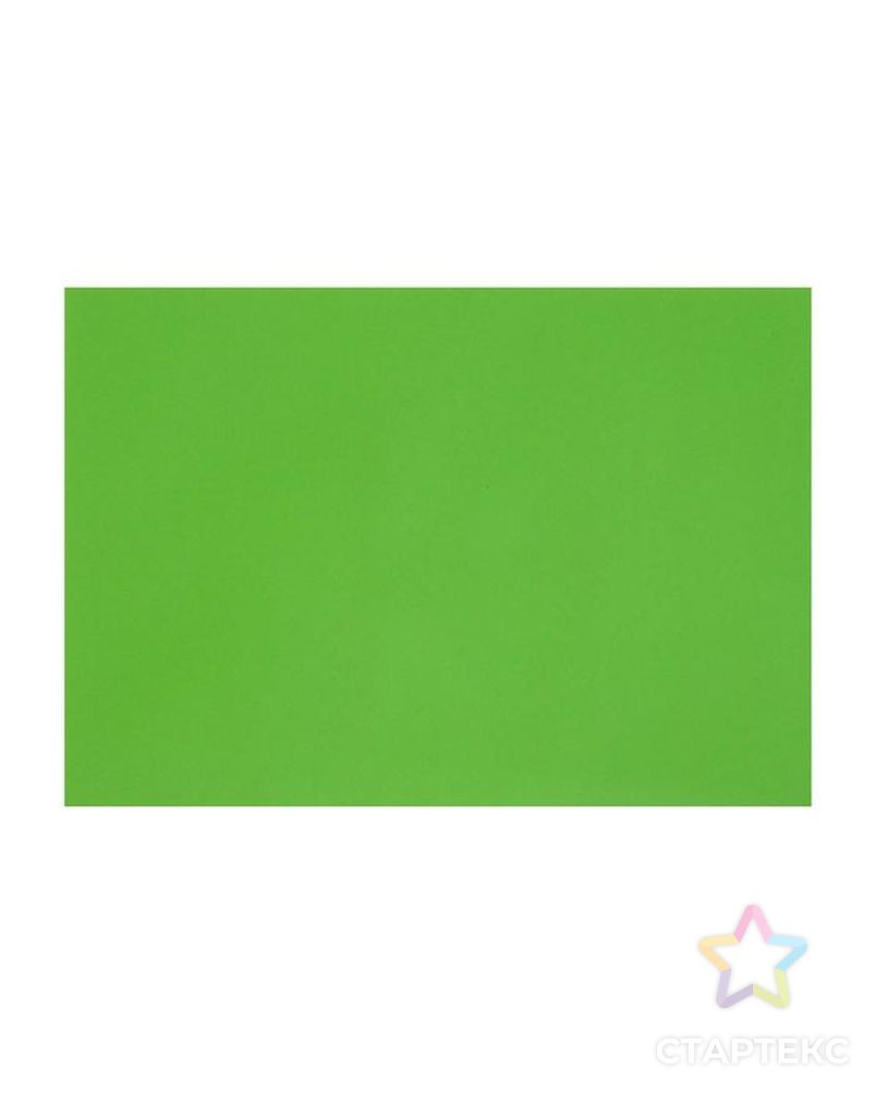 Картон цветной тонированный А3, 200 г/м2, зелёный арт. СМЛ-194936-1-СМЛ0006580653 1