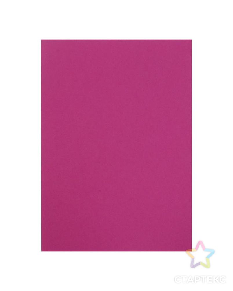 Бумага для пастели А3, 10 листов "Фуксия", 200 г/м2, розовая, в папке арт. СМЛ-185727-1-СМЛ0006580689 2