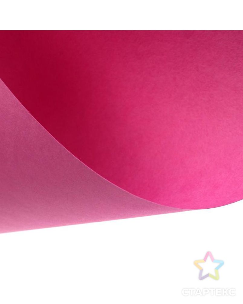 Бумага для пастели А3, 10 листов "Фуксия", 200 г/м2, розовая, в папке арт. СМЛ-185727-1-СМЛ0006580689 3