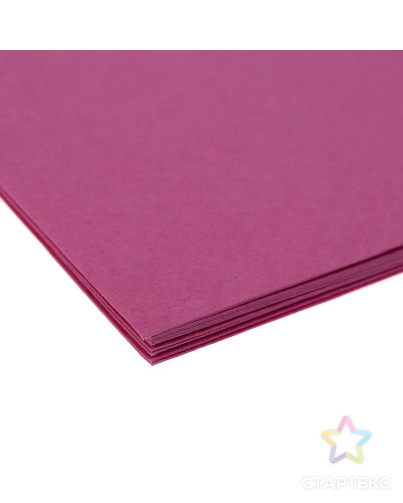 Бумага для пастели А3, 10 листов "Фуксия", 200 г/м2, розовая, в папке арт. СМЛ-185727-1-СМЛ0006580689 4