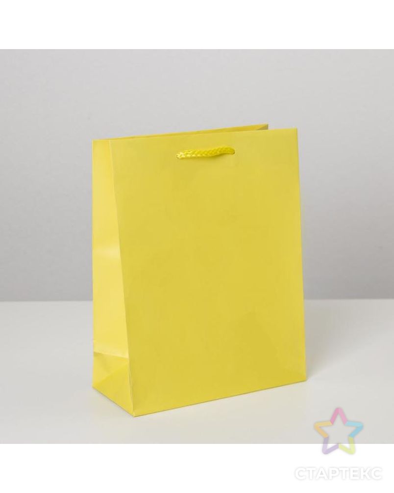 Пакет ламинированный «Жёлтый», MS 18 х 23 х 8 см арт. СМЛ-162216-1-СМЛ0006582779 1