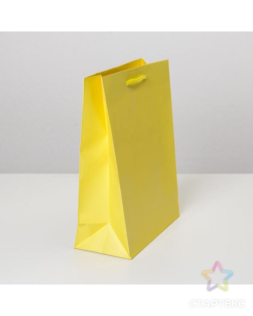 Пакет ламинированный «Жёлтый», MS 18 х 23 х 8 см арт. СМЛ-162216-1-СМЛ0006582779 2