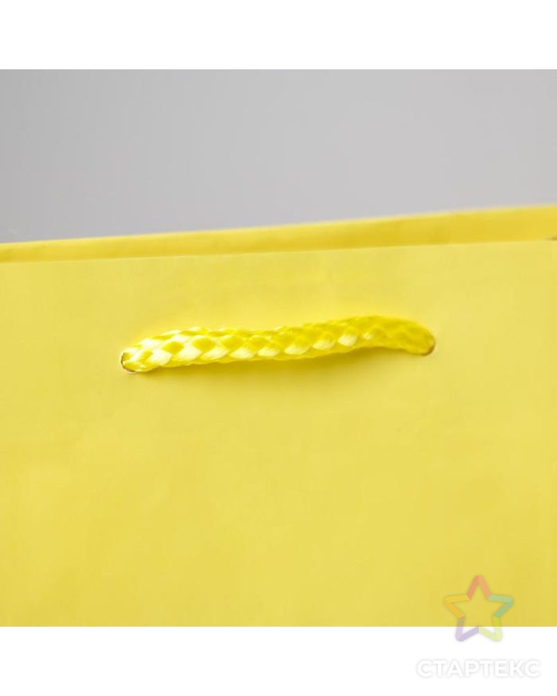Пакет ламинированный «Жёлтый», MS 18 х 23 х 8 см арт. СМЛ-162216-1-СМЛ0006582779 3
