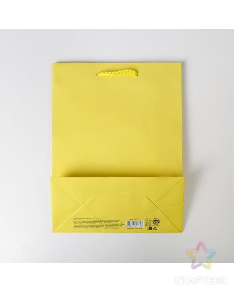 Пакет ламинированный «Жёлтый», MS 18 х 23 х 8 см арт. СМЛ-162216-1-СМЛ0006582779 4