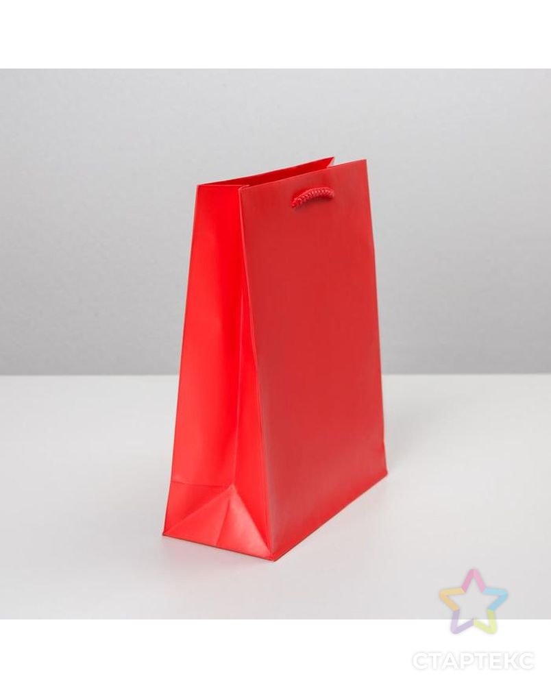Пакет ламинированный «Красный», MS 18 х 23 х 8 см арт. СМЛ-162155-1-СМЛ0006582785 2