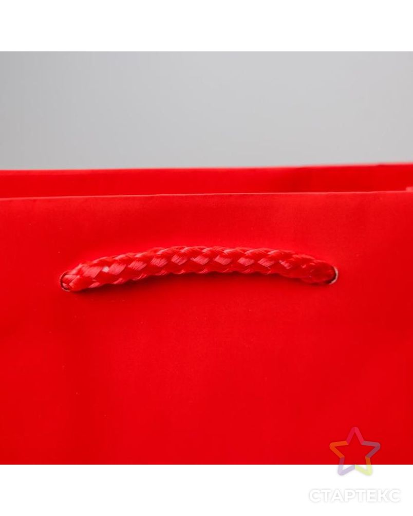 Пакет ламинированный «Красный», MS 18 х 23 х 8 см арт. СМЛ-162155-1-СМЛ0006582785 3
