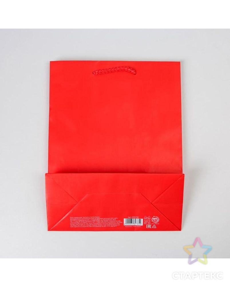 Пакет ламинированный «Красный», MS 18 х 23 х 8 см арт. СМЛ-162155-1-СМЛ0006582785 4