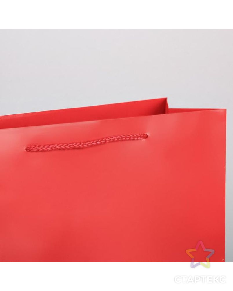 Пакет ламинированный «Красный», L 31 х 40 х 11,5 см арт. СМЛ-159823-1-СМЛ0006582787 3