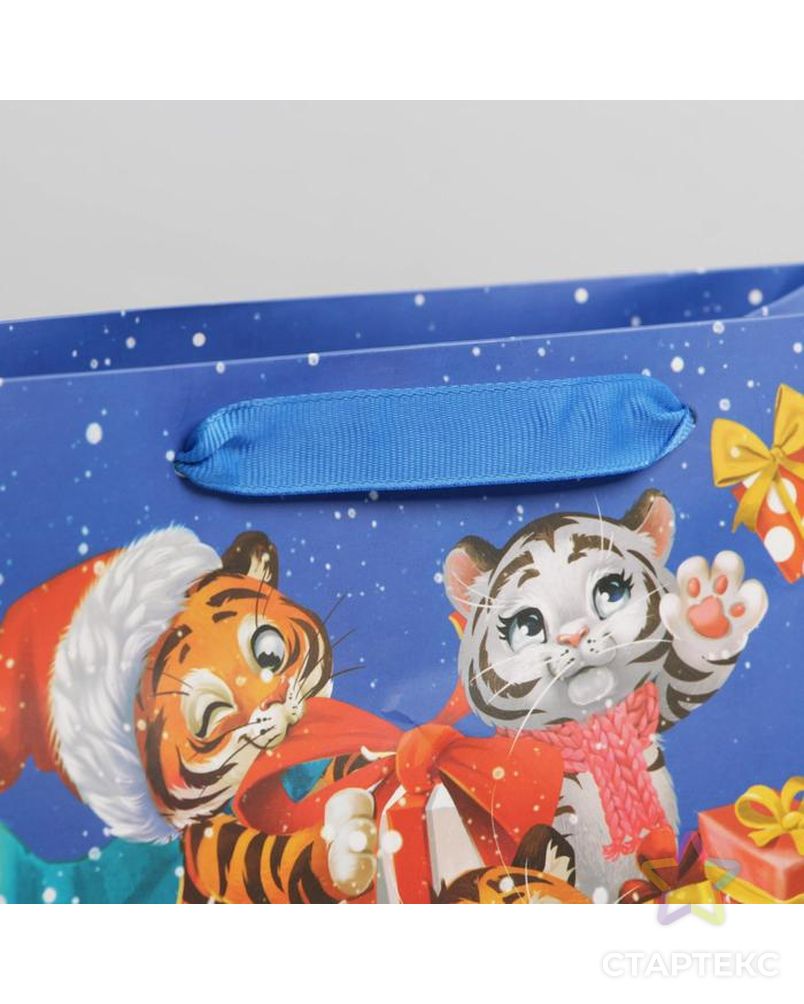 Пакет ламинированный горизонтальный «Весёлые тигрята», ML 27 × 23 × 11.5 см арт. СМЛ-163848-2-СМЛ0006631854 3