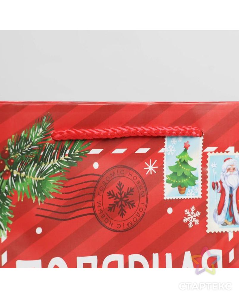 Пакет ламинированный вертикальный «Полярная почта», L 31 × 40 × 11 см арт. СМЛ-163811-3-СМЛ0006765814 3