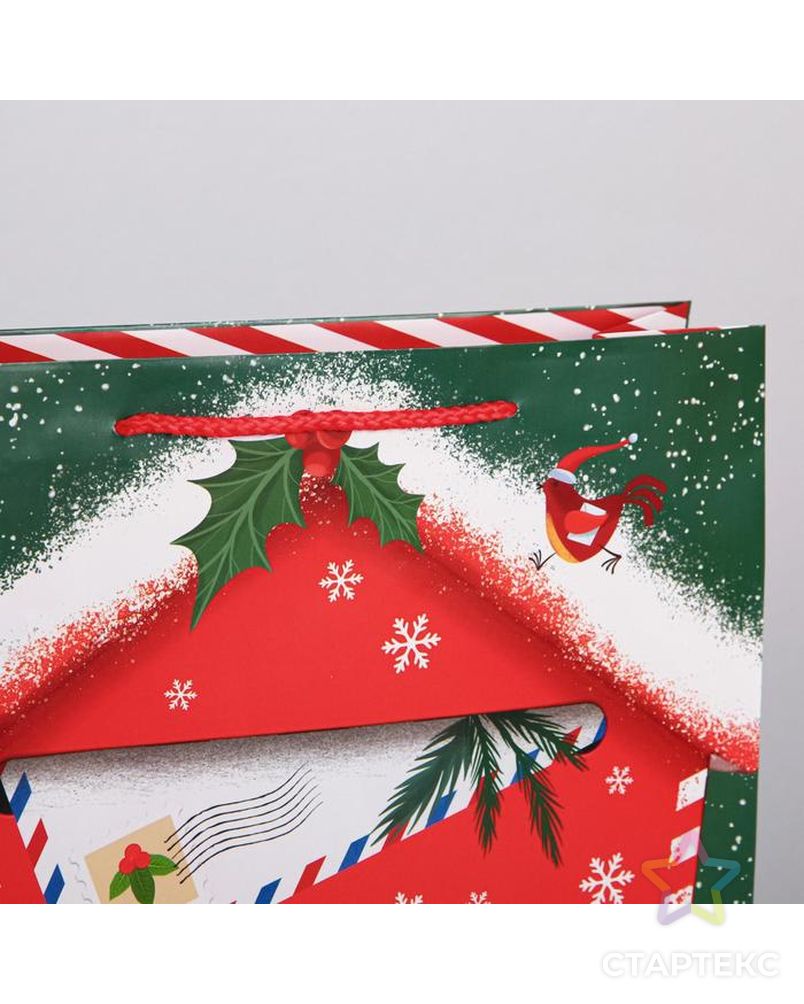 Пакет ламинированный вертикальный «Новогодняя почта», MS 18 × 23 × 8 см арт. СМЛ-163810-2-СМЛ0006765818 3