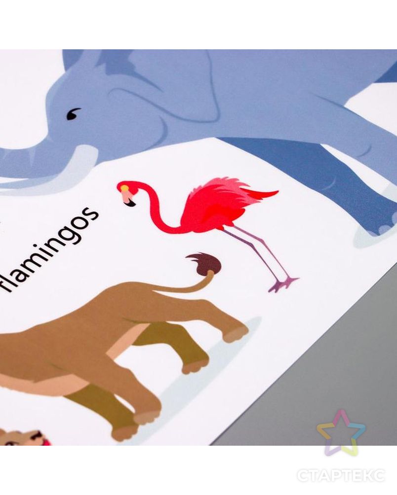 Наклейка пластик интерьерная цветная "Африканские звери" 30х90 см арт. СМЛ-209265-1-СМЛ0006770342 3