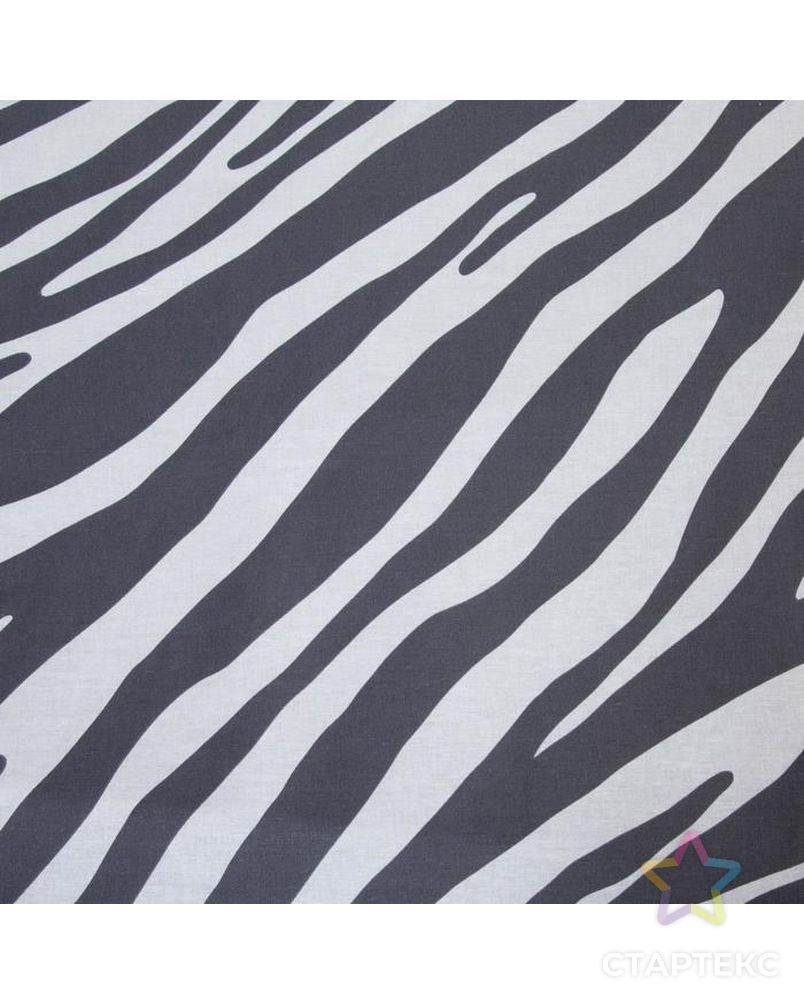 Постельное белье Этель Евро Zebra 200*217 см, 240*220 см, 70*70 см - 2 шт арт. СМЛ-179922-2-СМЛ0006771608 3