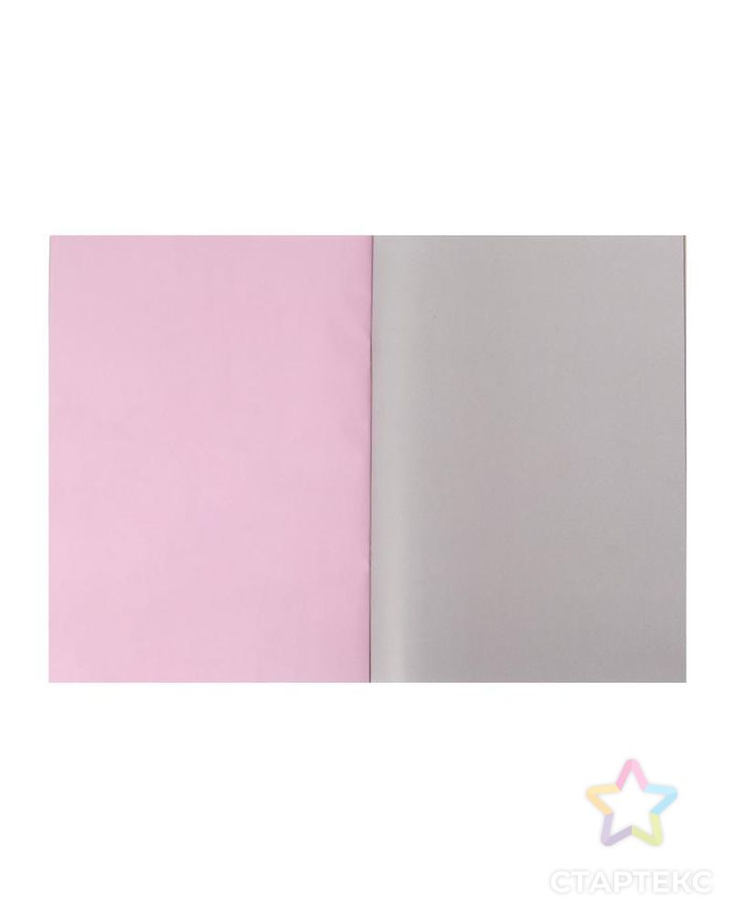 Бумага цветная двусторонняя, мелованная А4, 48 листов, 24 цвета "Весёлые друзья", в папке арт. СМЛ-216465-1-СМЛ0006776436 3
