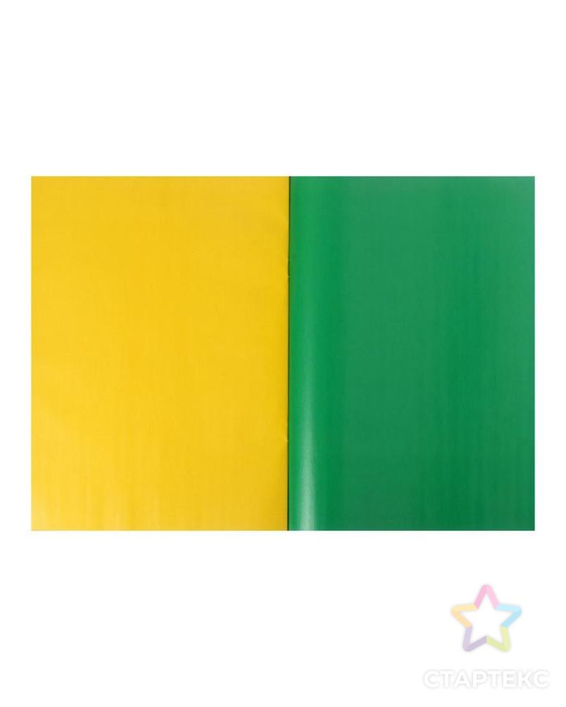 Бумага цветная двусторонняя, мелованная А4, 48 листов, 24 цвета "Весёлые друзья", в папке арт. СМЛ-216465-1-СМЛ0006776436 4