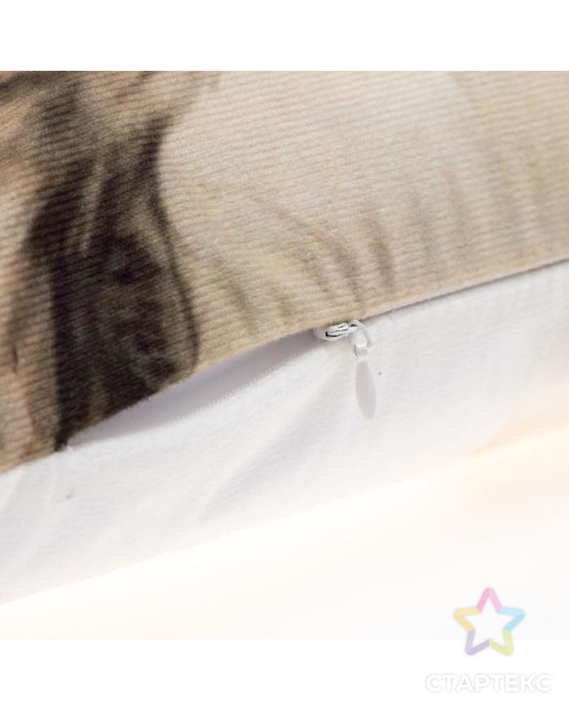Чехол на подушку Этель "Совы" 40 х 40 см, велюр арт. СМЛ-160408-1-СМЛ0006840447