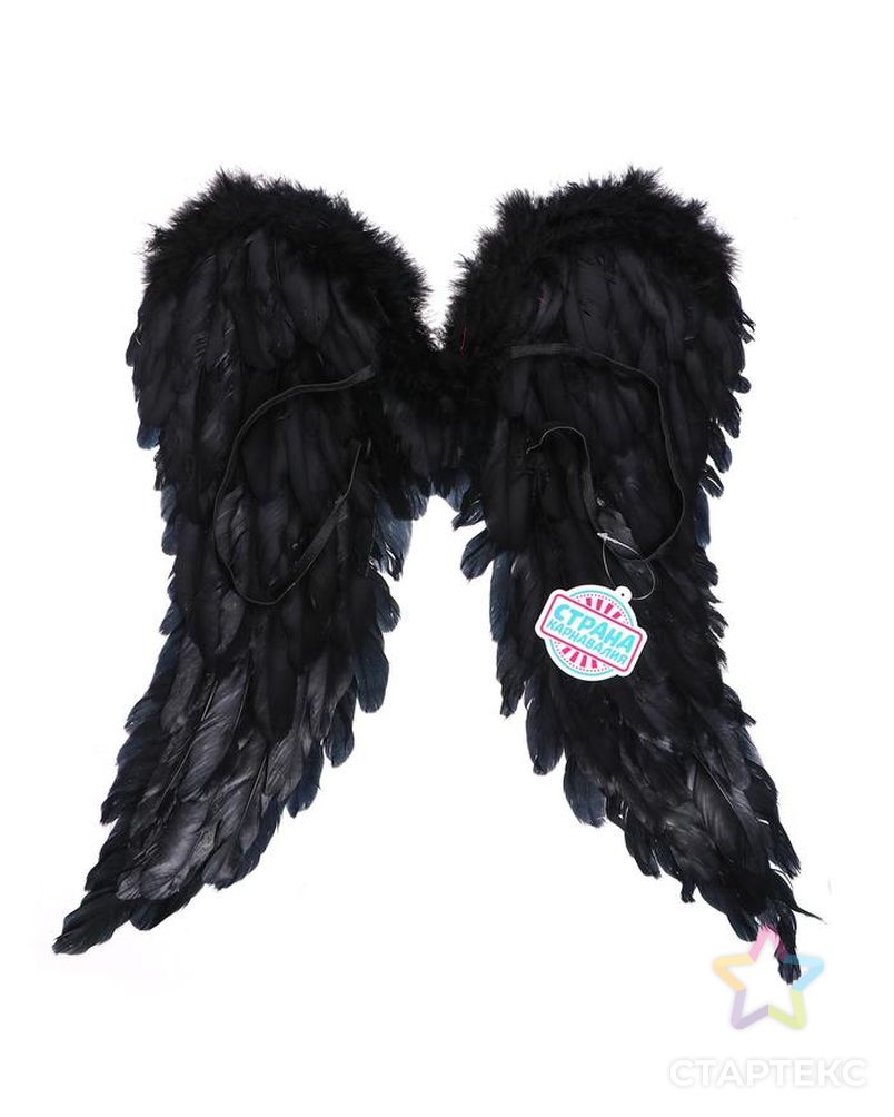 Крылья «Ангел», 50х50, цвет чёрный арт. СМЛ-158357-1-СМЛ0006900030 2