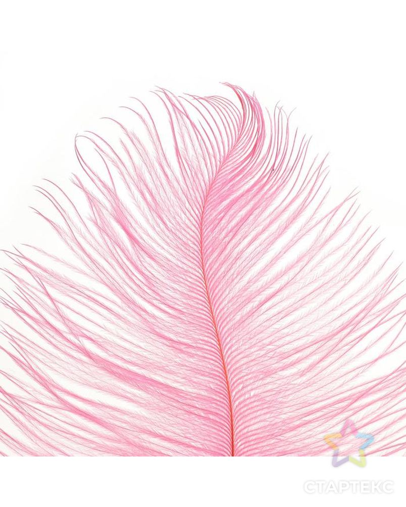 Перо для декора, размер 25-30 см, цвет розовый 1 шт/уп арт. СМЛ-165574-1-СМЛ0006900040 2