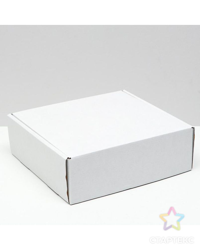 Коробка самосборная, белая, 24 х 23 х 8 см арт. СМЛ-156614-1-СМЛ0006914781 1