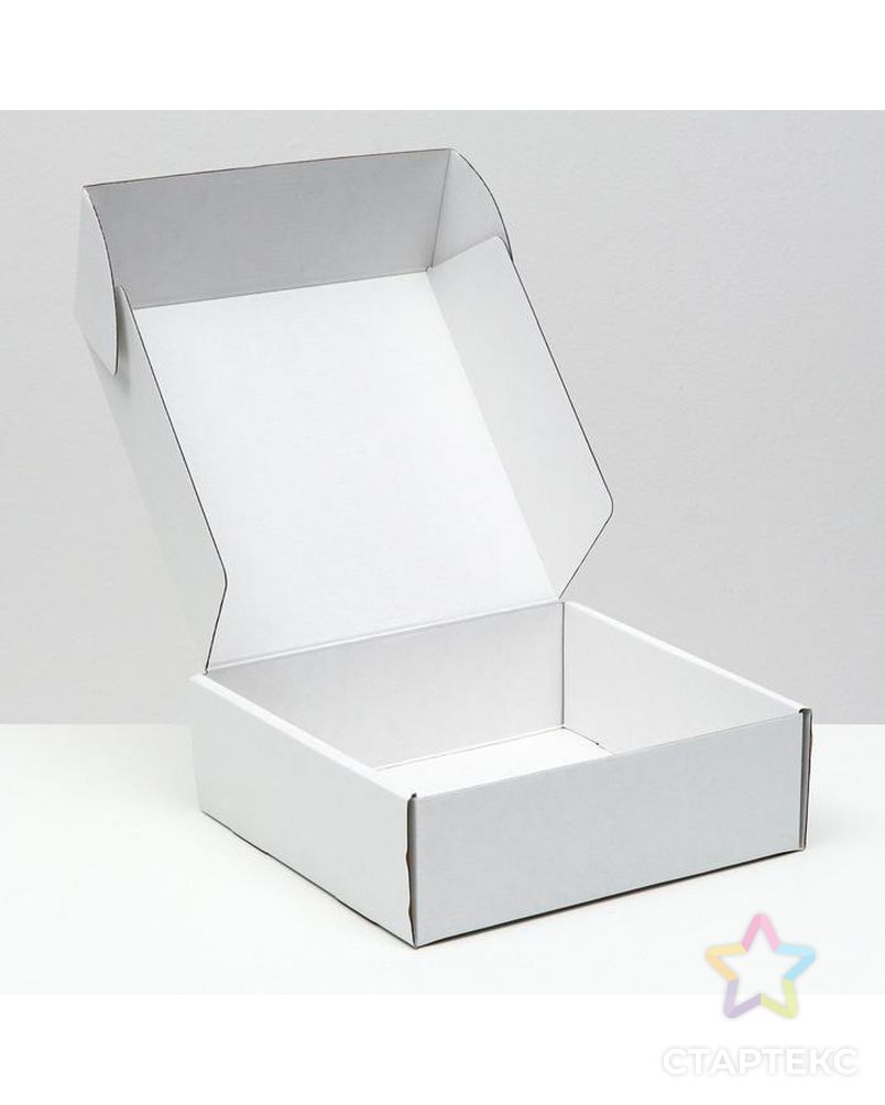 Коробка самосборная, белая, 24 х 23 х 8 см арт. СМЛ-156614-1-СМЛ0006914781 2
