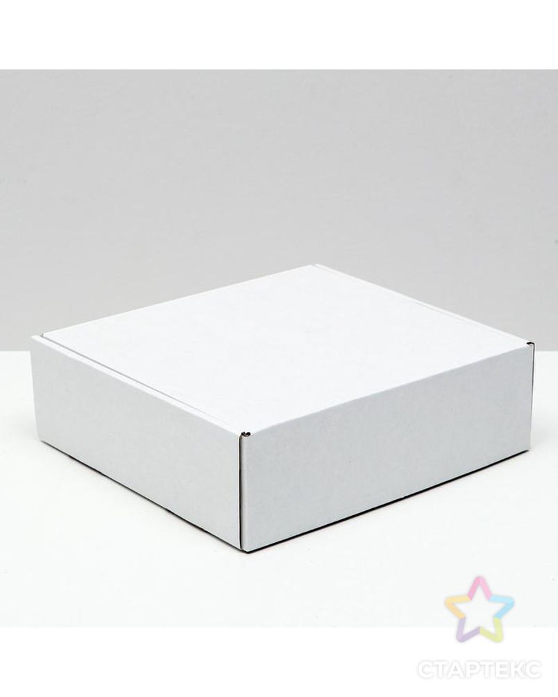 Коробка самосборная, белая, 22,5 х 21 х 7 см арт. СМЛ-156615-1-СМЛ0006914782 1