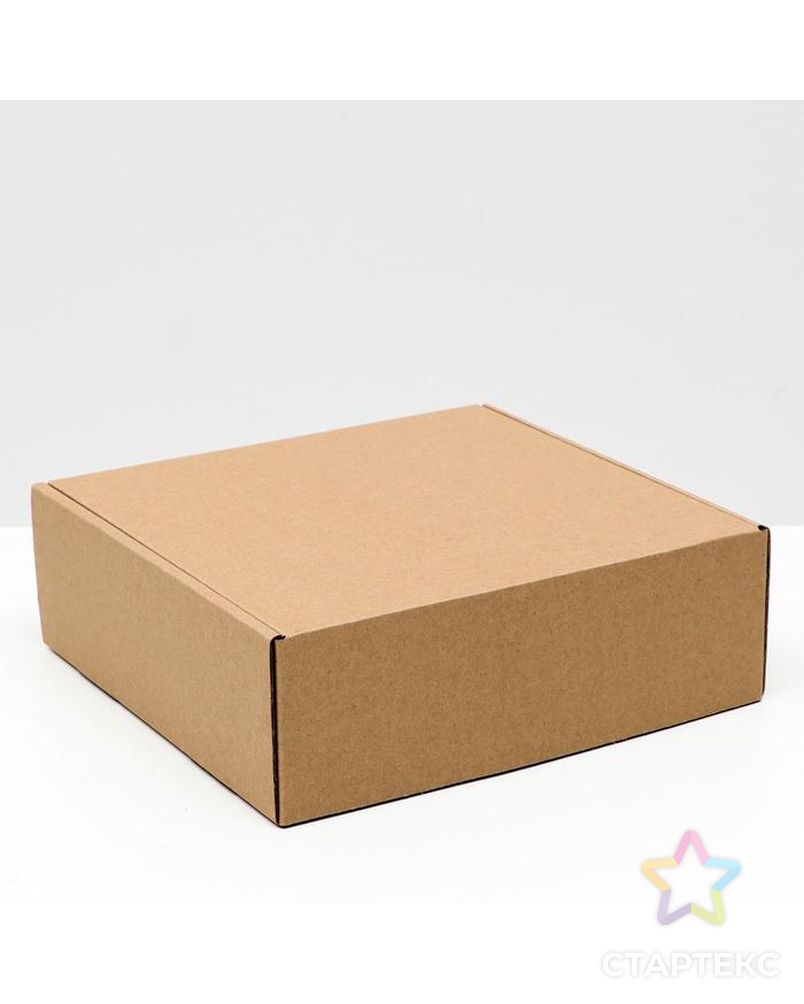 Коробка самосборная, крафт, 24 х 23 х 8 см арт. СМЛ-156619-1-СМЛ0006914786 1