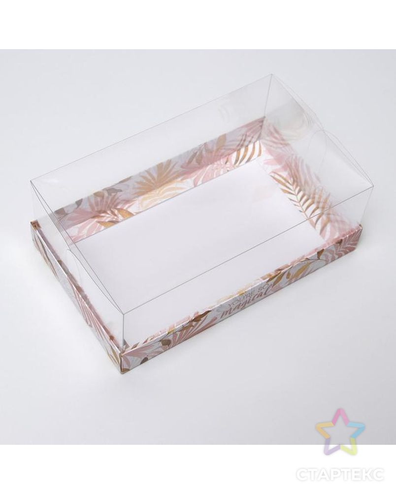 Коробка для десерта Magical, 22 х 8 х 13,5 см арт. СМЛ-164318-1-СМЛ0006940273 2