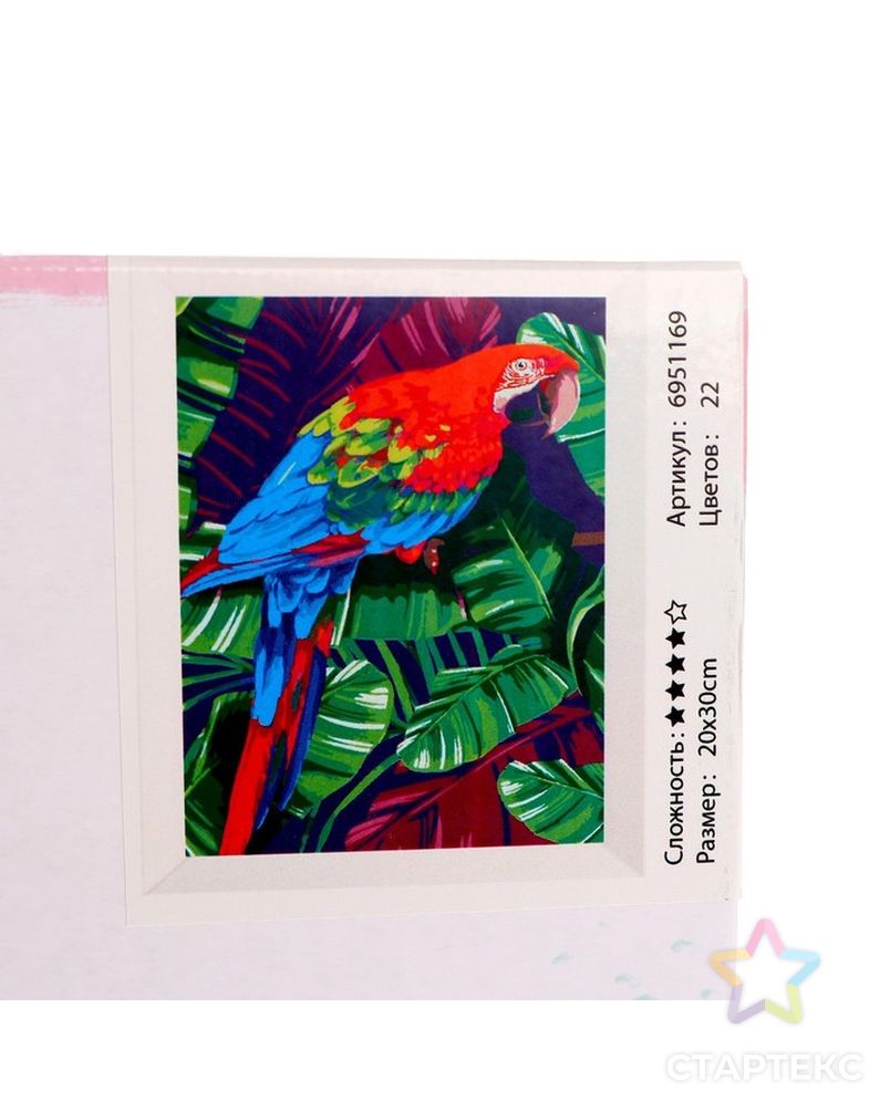 Картина по номерам на холсте с подрамником «Попугай» 20х30 см арт. СМЛ-211333-1-СМЛ0006951169 4