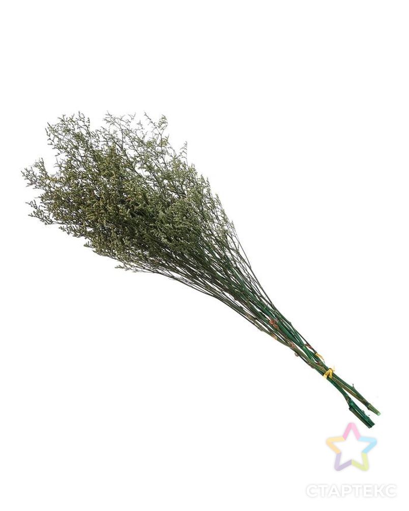 Сухоцвет "Кермек" 130 гр., цвет зеленый арт. СМЛ-171079-1-СМЛ0006972056