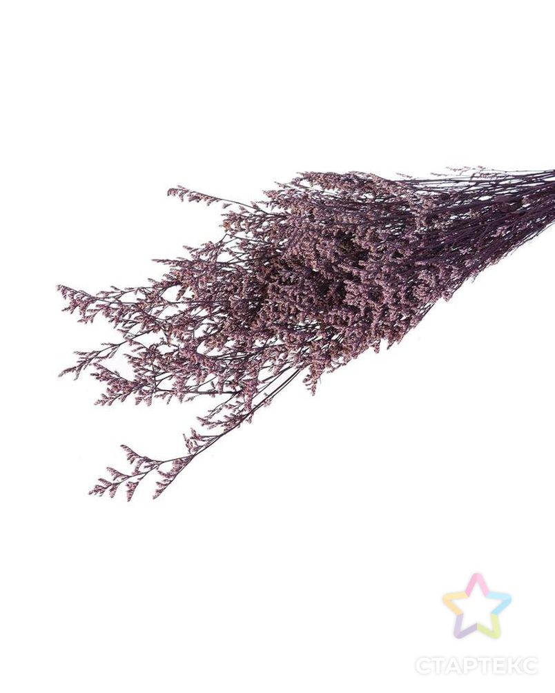 Сухоцвет "Кермек" 130 гр., цвет фиолетовый арт. СМЛ-171081-1-СМЛ0006972058 1