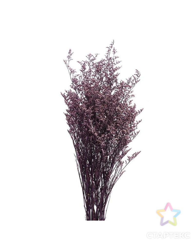 Сухоцвет "Кермек" 130 гр., цвет фиолетовый арт. СМЛ-171081-1-СМЛ0006972058 2