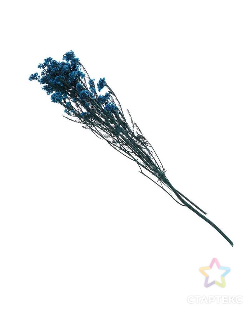 Сухоцвет "Озотамнус" 60 гр., цвет синий арт. СМЛ-171085-1-СМЛ0006972062