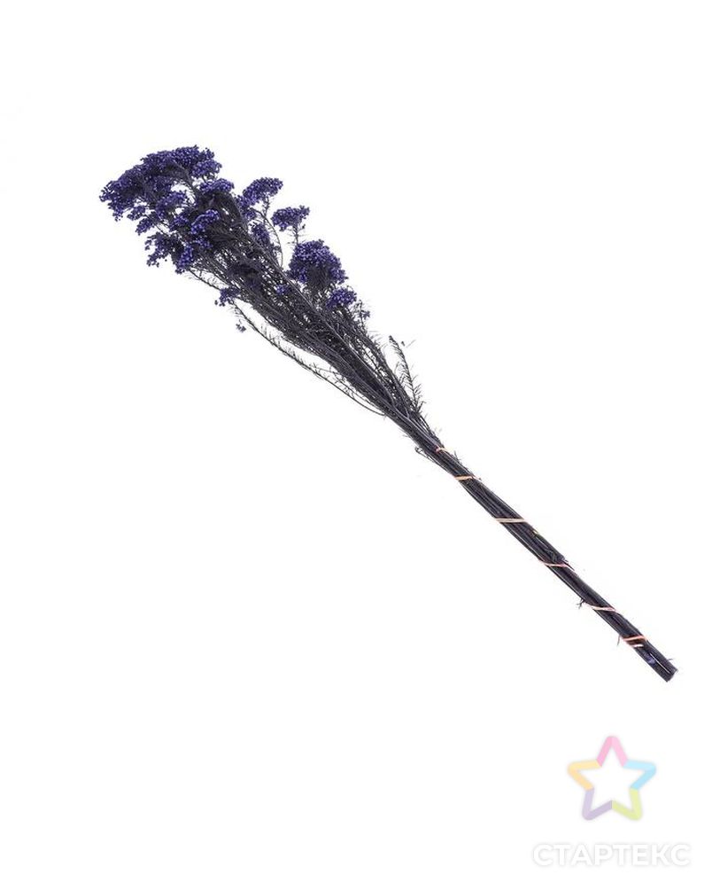 Сухоцвет "Озотамнус" 60 гр., цвет фиолетовый арт. СМЛ-171086-1-СМЛ0006972064