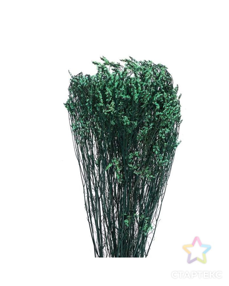 Сухоцвет "Лимониум" 120 гр., цвет зеленый арт. СМЛ-171097-1-СМЛ0006972076 2