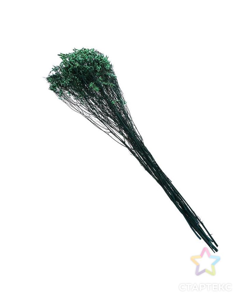 Сухоцвет "Лимониум" 120 гр., цвет зеленый арт. СМЛ-171097-1-СМЛ0006972076