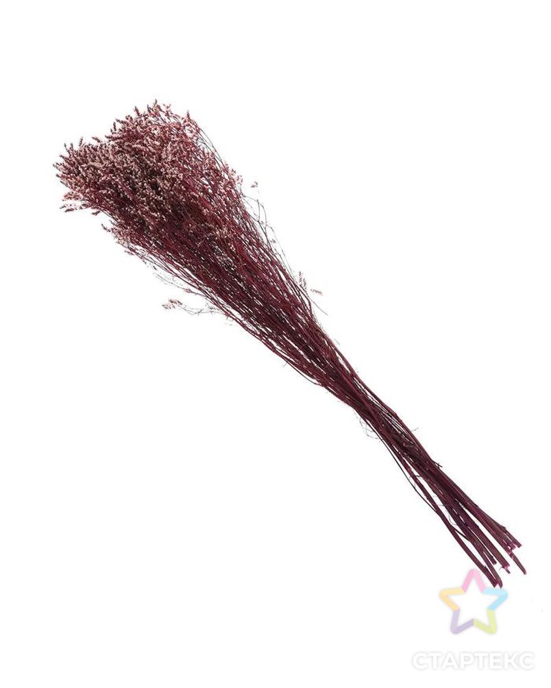 Сухоцвет "Лимониум" 120 гр., цвет пудрово розовый арт. СМЛ-171098-1-СМЛ0006972077