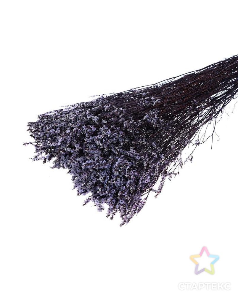 Сухоцвет "Лимониум" 120 гр., цвет фиолетовый арт. СМЛ-171099-1-СМЛ0006972078 1