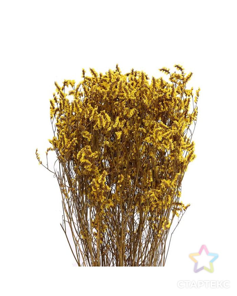 Сухоцвет "Лимониум" 120 гр., цвет желтый арт. СМЛ-171101-1-СМЛ0006972081